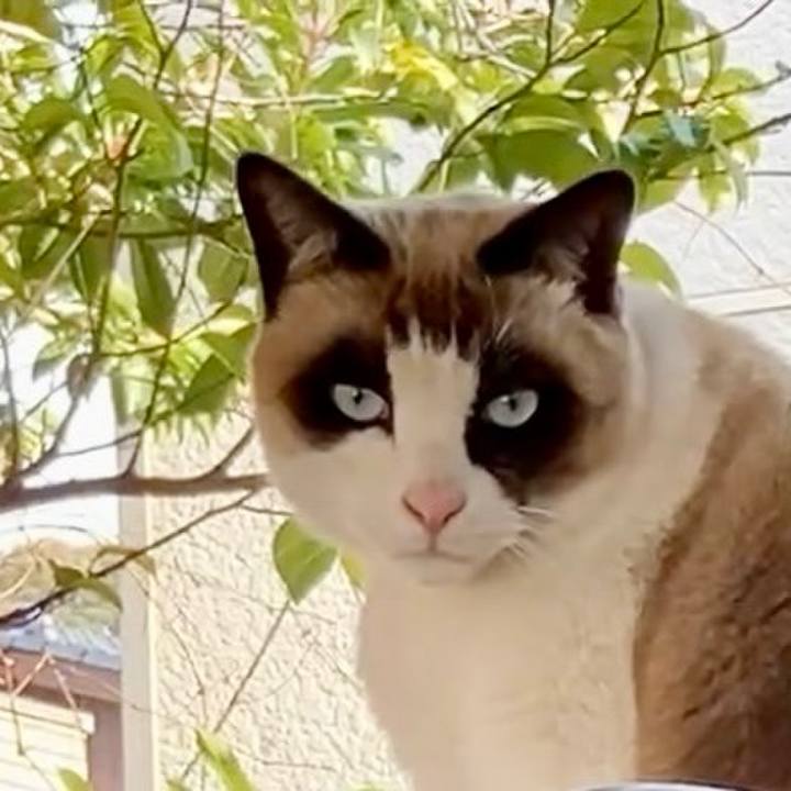 8cbd1461 ef78 4312 8dc2 1727e2aa5ad3 1738307095698