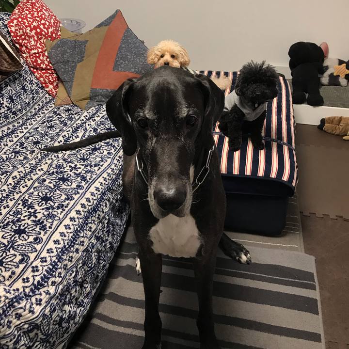 8cbd2cd9 f097 4ae2 82d1 ac6b194246f2 1544050000493