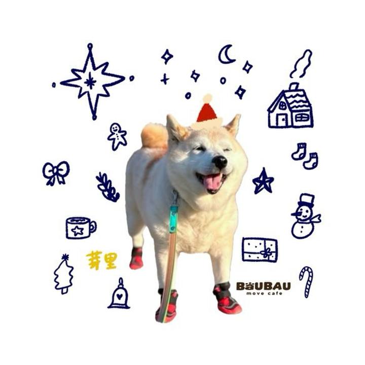 8cbd2f68 0604 4d95 925e 06db17c6fce0 1765336197243