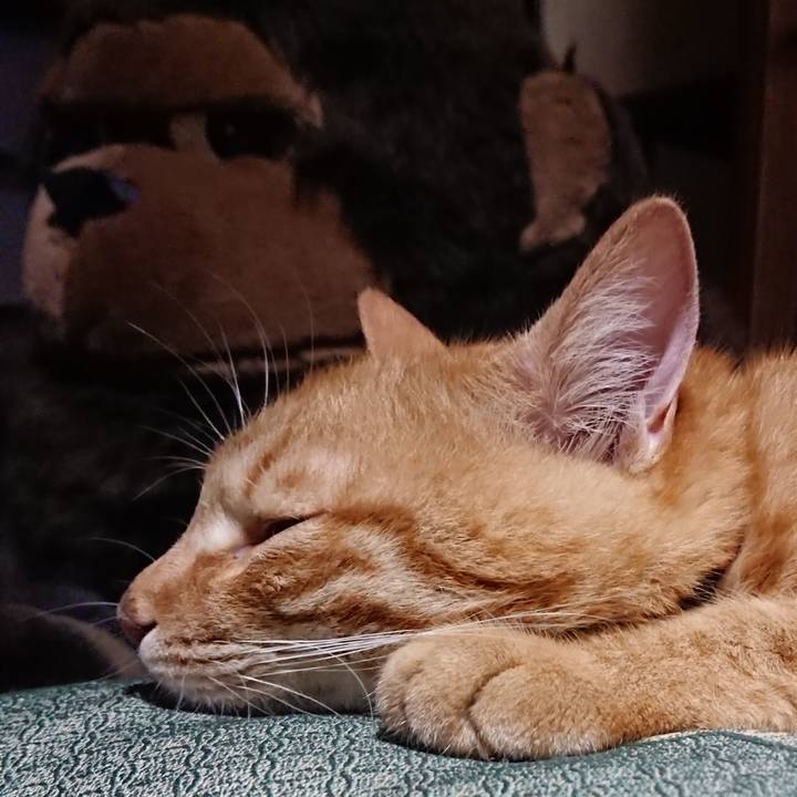 8cbd2f9b 5292 49db 859b 4a9f504c08ba 1656767798031