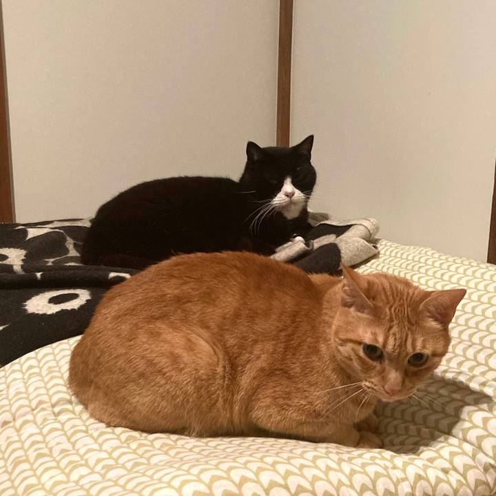 8cbd3baa 4046 4da4 b3b1 e0678f21f8b5 1630902378103