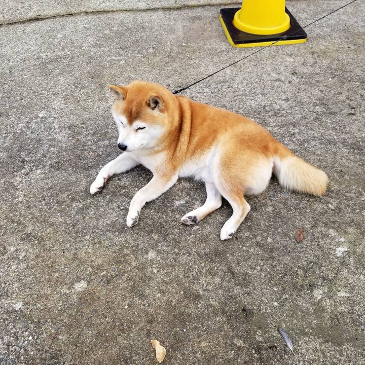 8cbd4ea3 683e 4167 b955 033065b5ab4a 1605224537056