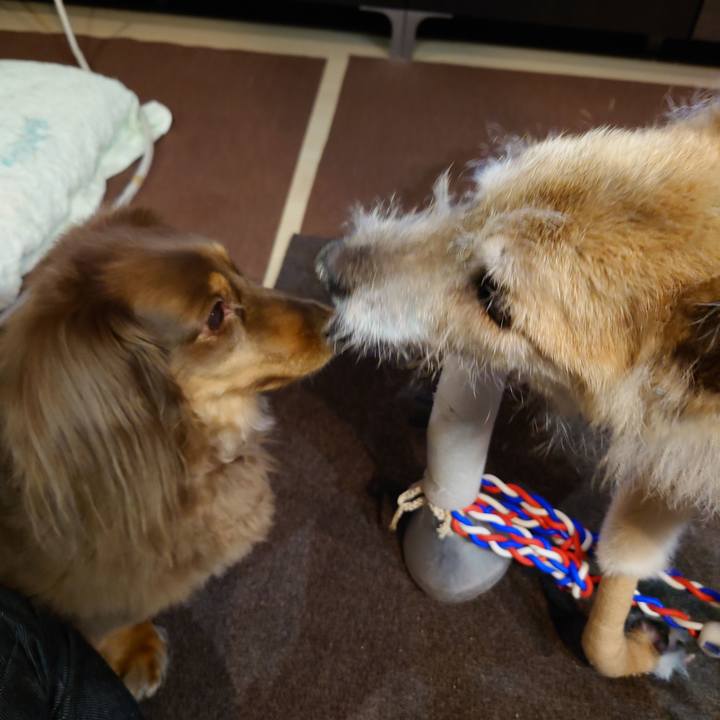 8cbd86c4 4eb0 462e b617 e93f63a32902 1666434556588