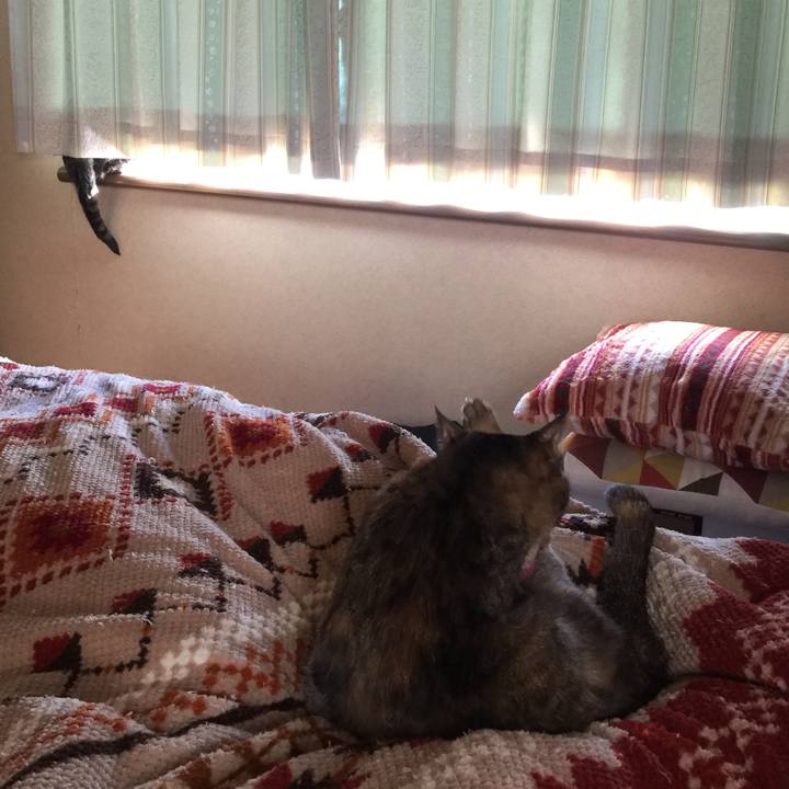 8cbdb338 bb9d 40d8 aaf9 ed6435868473 1508200666939