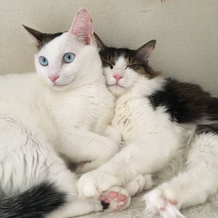 8cbdb749 6a81 4f4e bd2b d22a913f2b8b 1536795260403