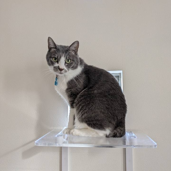 8cbdbd44 657c 416b b05a a394689623b9 1762953577485