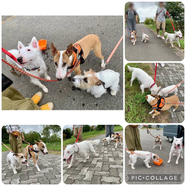 8cbdc7dc bfea 4632 8620 1cc0378bf7e4 1663414801232