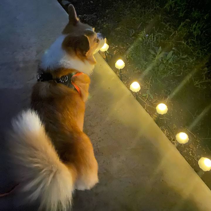 8cbdcbed 201b 4cb5 bd66 85839e5d106e 1758443852577