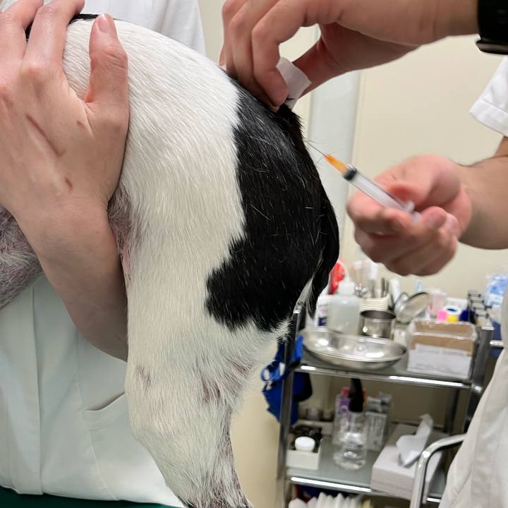 8cbe0248 2661 42f8 b612 f57d2a499c8e 1652514669828