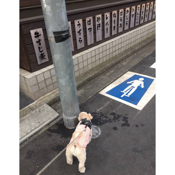 8cbe0df6 db9d 473f b680 ca17a5c70054 1565474901369