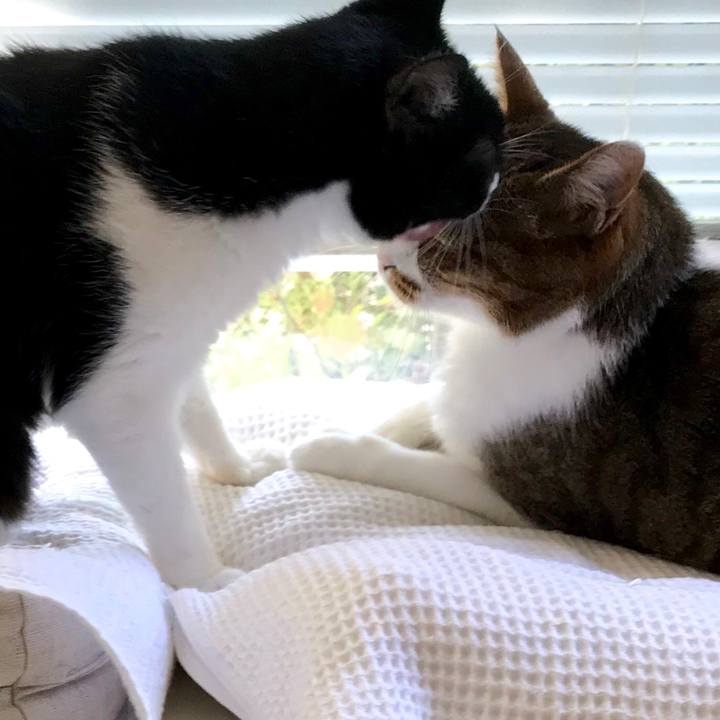 8cbe1640 fac7 4d83 b1ce a05d1cf98ea6 1585813207886