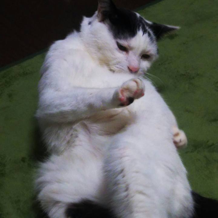 8cbe6589 8ee3 4f30 96e9 342f8cee8ca9 1555215755091