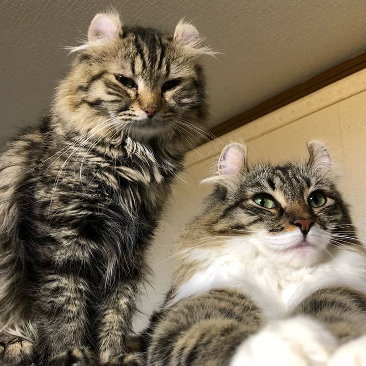 8cbe82f2 7443 429d a3e7 6e74672fbbd2 1534604890614