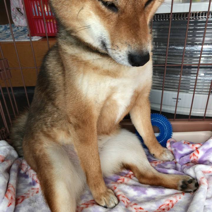 8cbe841c 2b31 4793 ab3e 236bd8e2895a 1523615004198