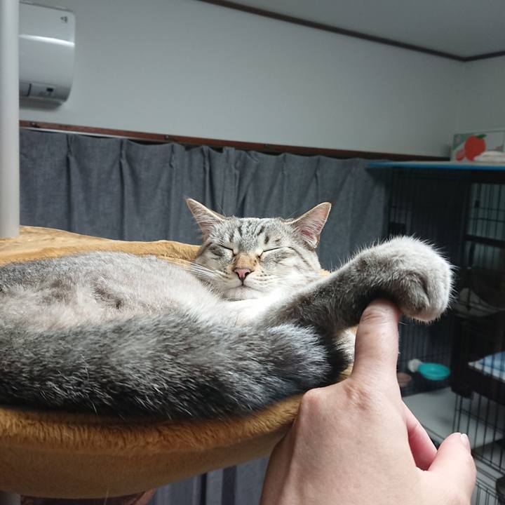 8cbe9241 9e0b 4e4f a08f 45d32fc43c32 1528633325905