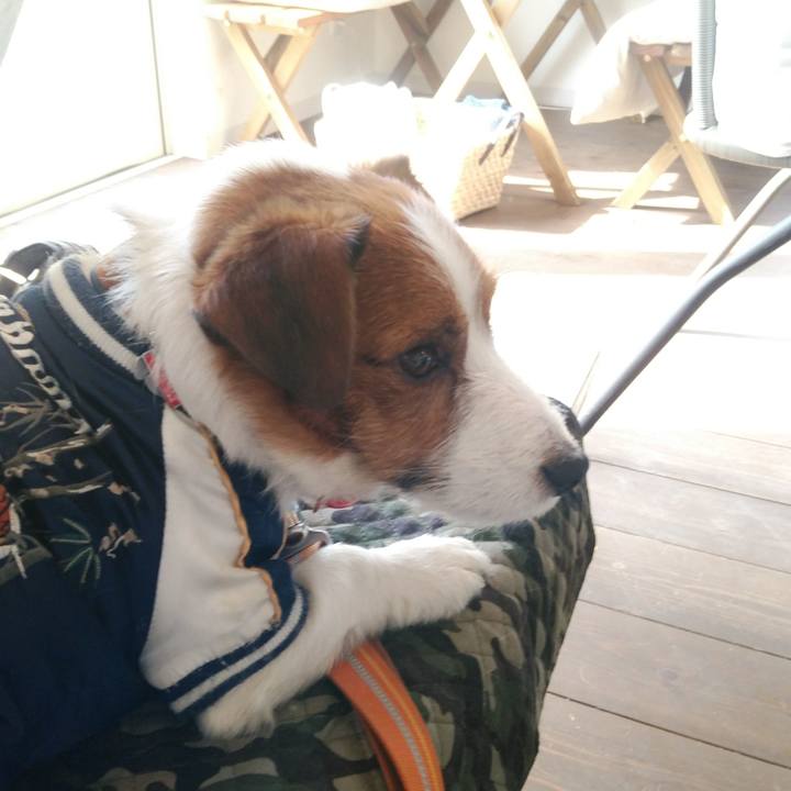 8cbed6d1 d140 41e0 b8f2 bd35424e21ad 1518237425403