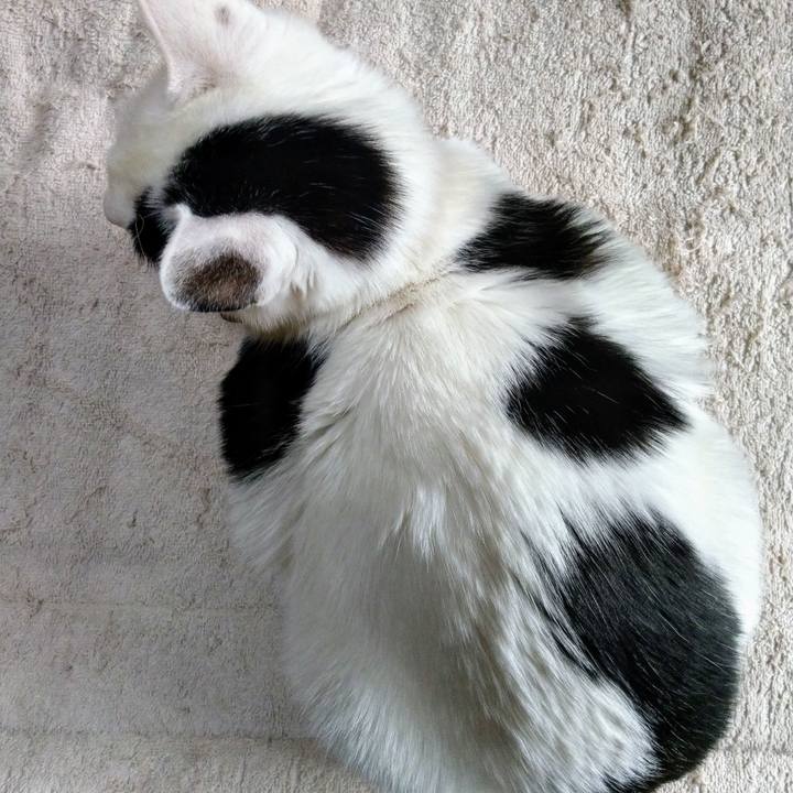 8cbf05bc 98a9 49a4 b2b2 18b283cfcc50 1519132271317