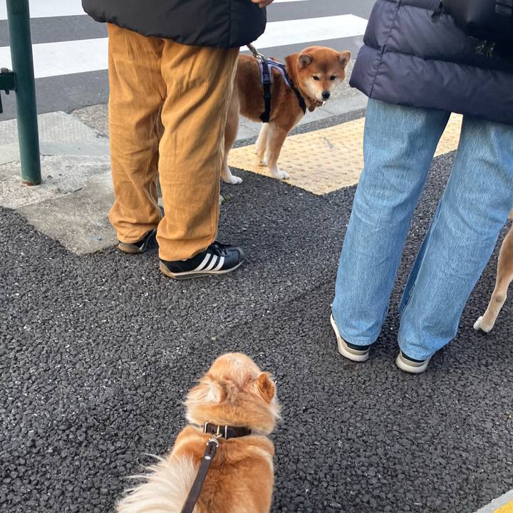 8cbf236c 5654 4872 b2bc d0f8c66c905d 1773796808368