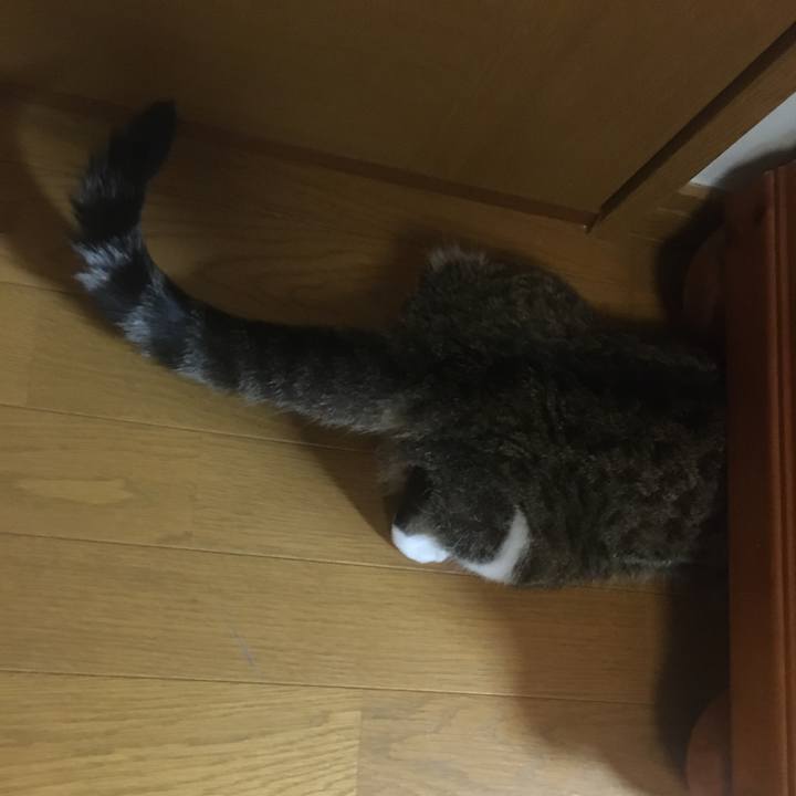 8cbf476b 060c 45b7 a964 7581ba2af1c4 1700197961866