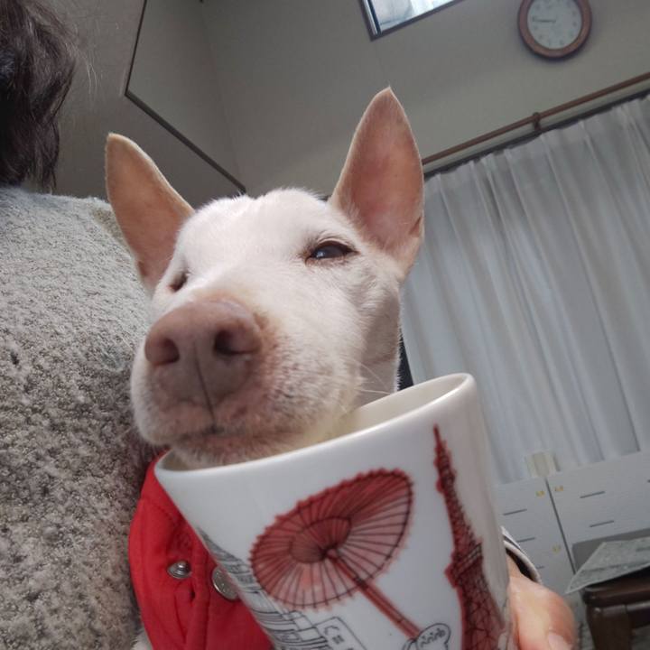 8cbf5019 eb1e 4a6b adc2 1b4f5693a59a 1585794192735