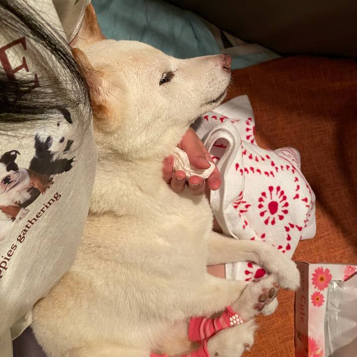 8cbf579b 3db7 49e5 b2c1 f8114f2195ca 1662562265314