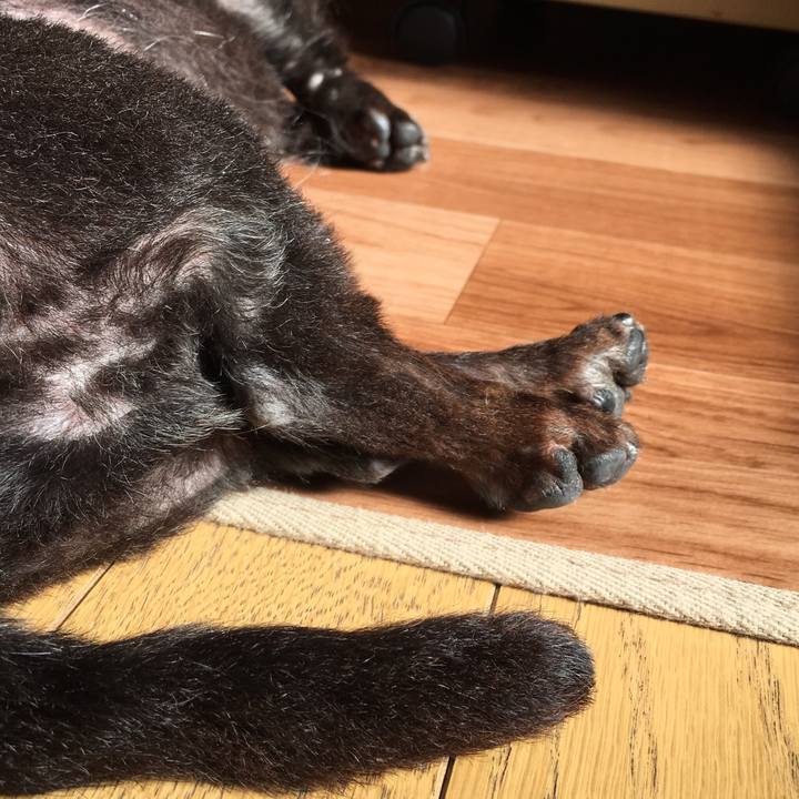 8cbf6a52 bb25 41af a9bd 79e30151ad74 1542926555883