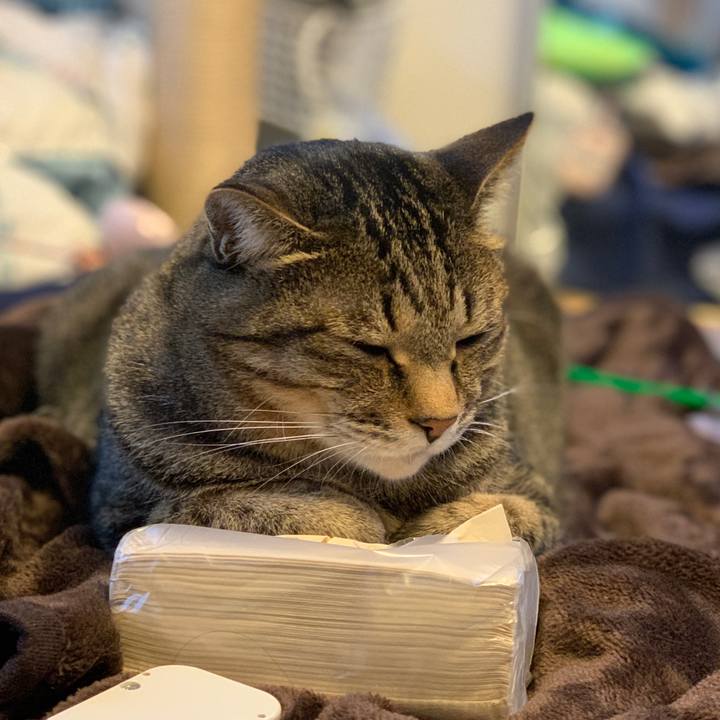 8cbf9815 153e 4195 b993 bb282d4fca68 1768701717769