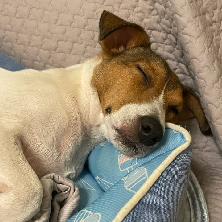 8cbfb88b c9d4 4698 8555 2a8074232685 1696208557076