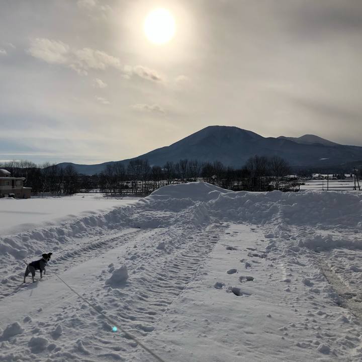 8cbfb894 a709 46f4 abd8 5b78d2f48b45 1546324747916