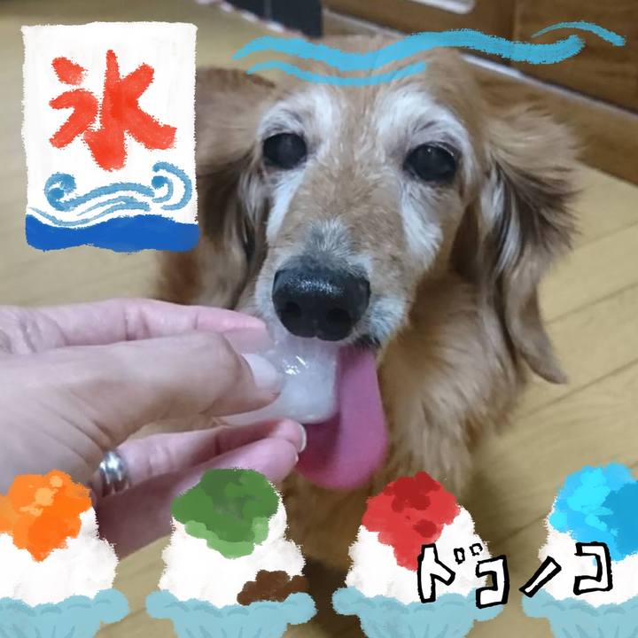 8cbff25f 1d7a 4b8c 8829 094c9ff9250a 1723437394262