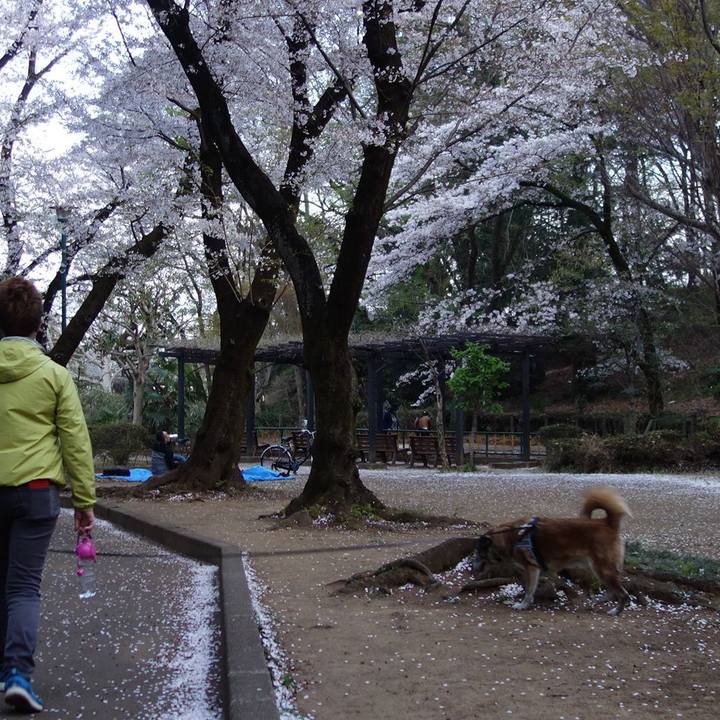 8cbffa97 3c2d 4f6a b7e1 099da846ab1d 1554463167596