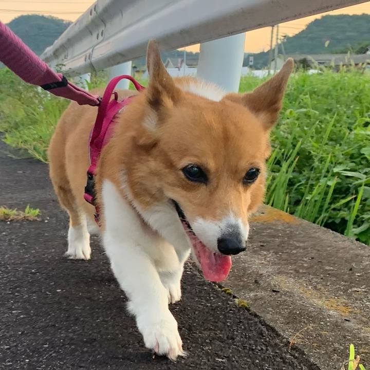 8cbffbc5 6a53 49f1 961c 8d35d0f1b483 1722374377618