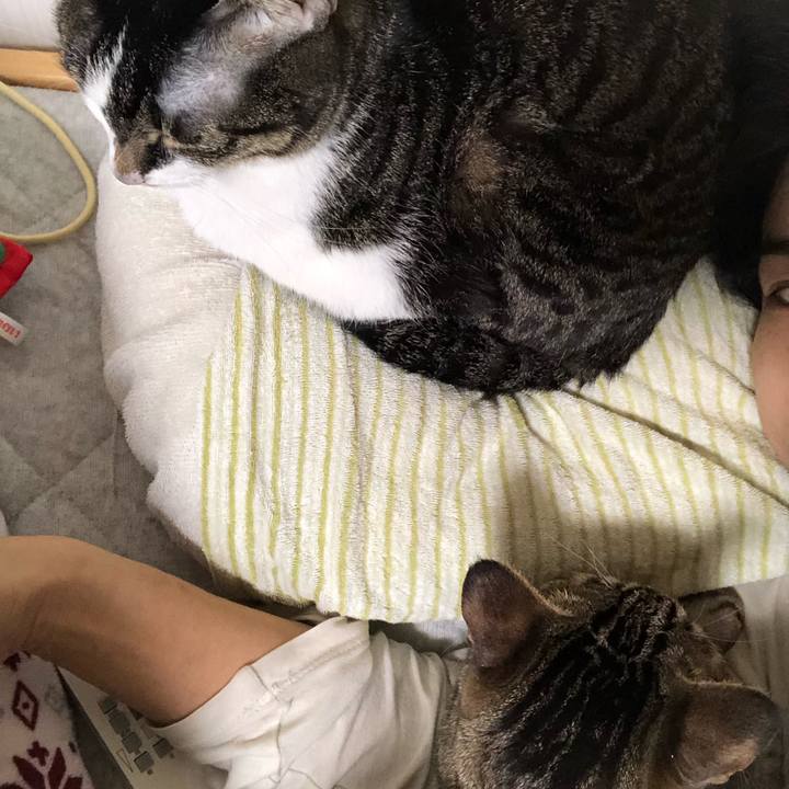 8cc039a5 32cf 4dba 863e 6f77c7879f2d 1550237437860