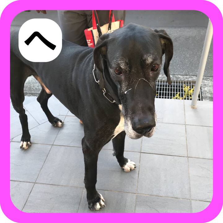 8cc05ea6 bc16 45c5 9ec3 f63732389331 1515282160401