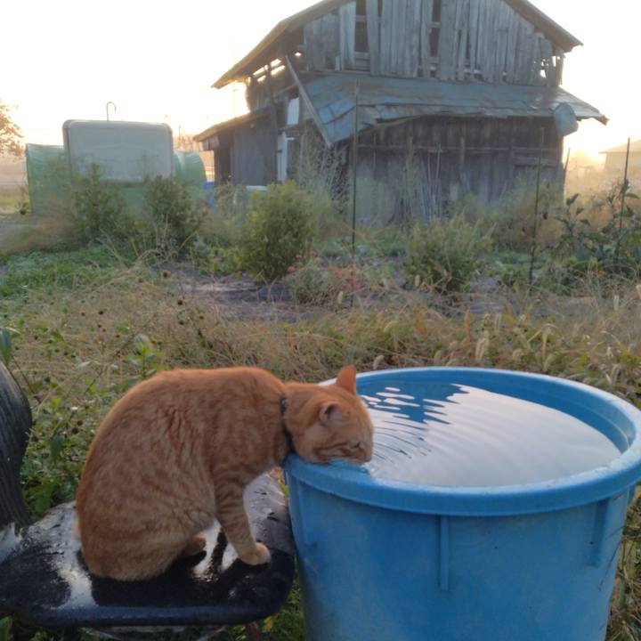 8cc062e1 6e39 49ed 8fb2 060cf7dff348 1666129857082