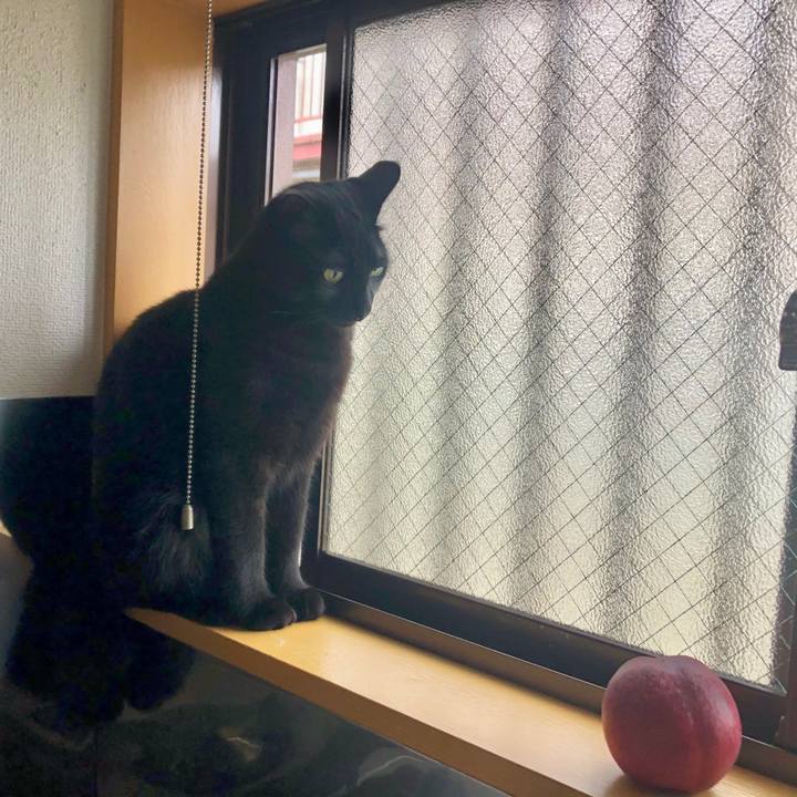 8cc09190 b81b 4f58 a8cd 25349b36c4e2 1595545943548