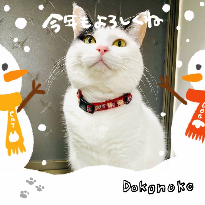 8cc13273 8ed7 44ef a06f 67c94ac62549 1704111940764