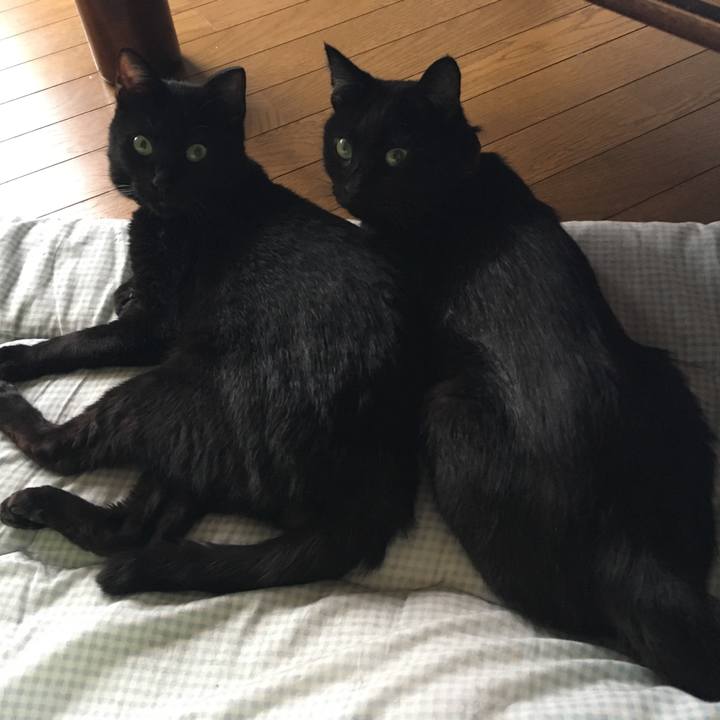 8cc145a6 86a1 4b46 ae81 9fdf722ddd43 1533042837831