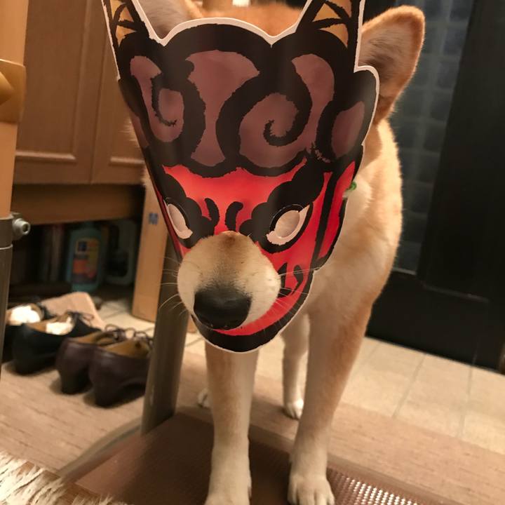 8cc14e71 4187 4e23 a4fd a143b7919063 1517671355628