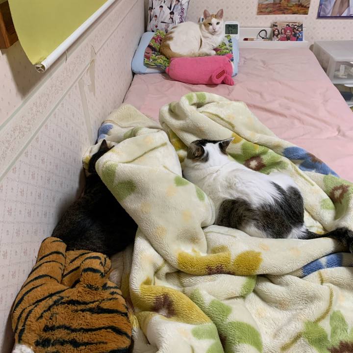 8cc154bb 2843 4f58 9b13 22925cf950d1 1606922881295