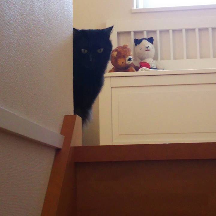 8cc1719c d87f 4b02 9344 a5ee7c839092 1508018047847