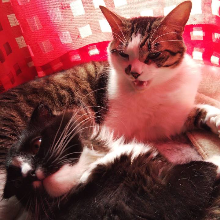 8cc173aa 0690 4d58 9029 9a807bcbcbdb 1646272167292