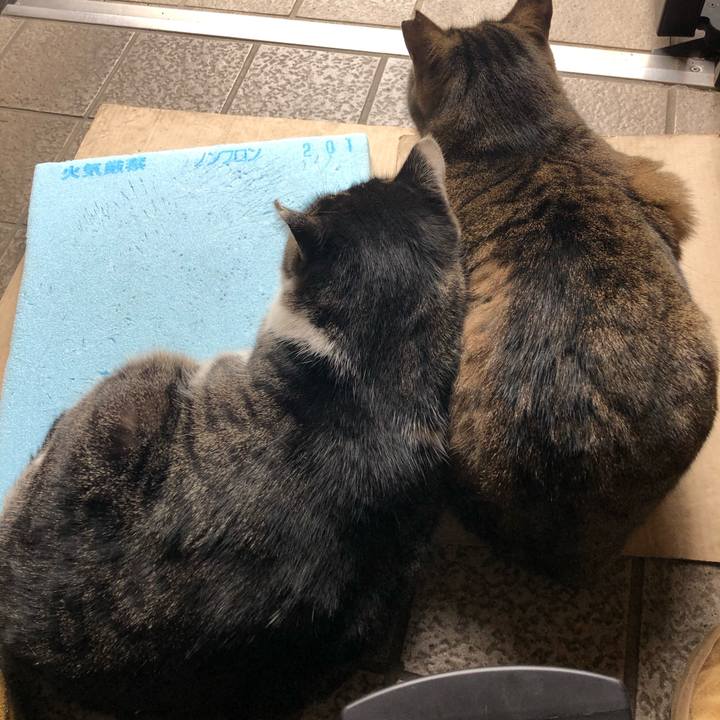 8cc189a6 3989 4437 9903 682fb096f3a4 1608351414063