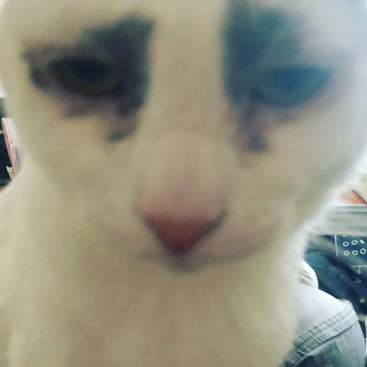 8cc1b002 1b00 47f5 aa8d 1bb246aa0d36 1523880090216