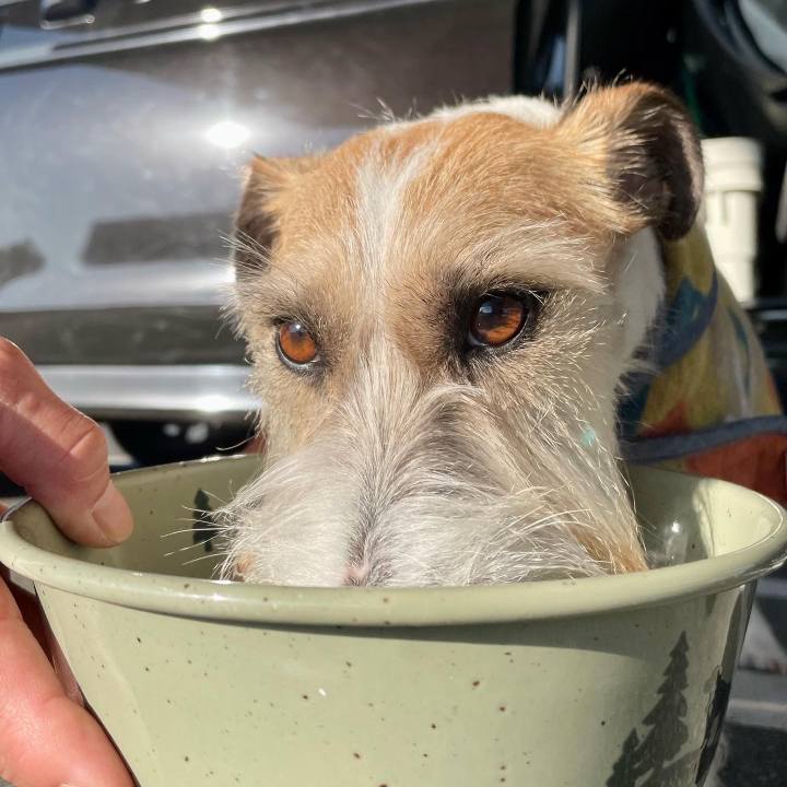 8cc1b512 2346 4b40 8c65 3fb254f6a108 1673525262282