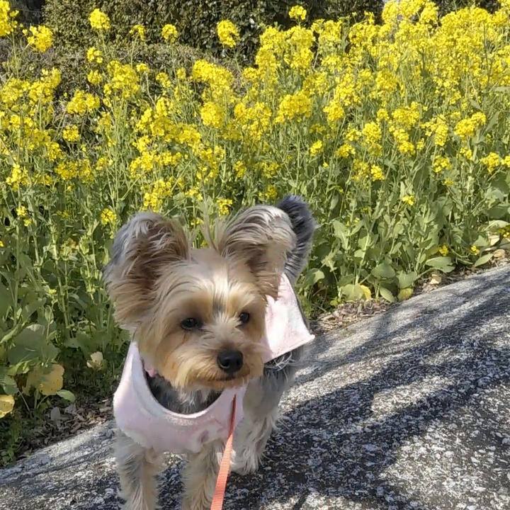 8cc1b5c8 d17d 45c9 8398 a0a581704dd4 1583556483169