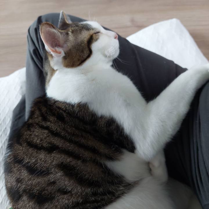 8cc1c219 0419 4117 b0be fad1f8b13c78 1653951798789