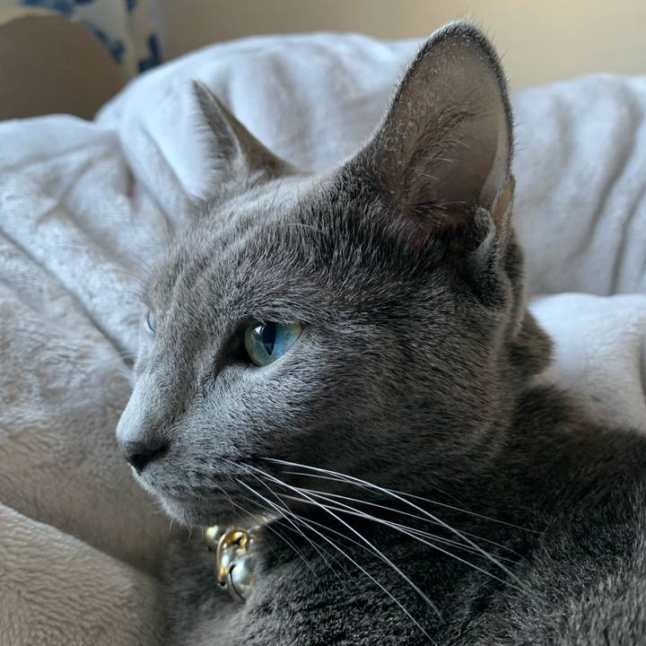 8cc25293 ebc6 45e5 8b83 db455d3d8ea7 1668822933544