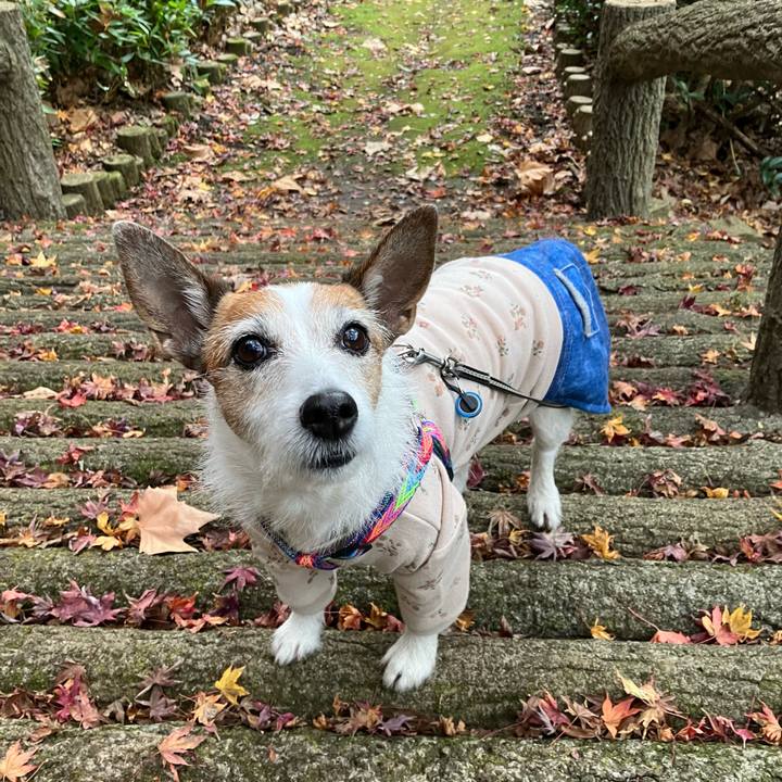 8cc2544d dd94 4952 877d 3fa9e48399c7 1671578676246