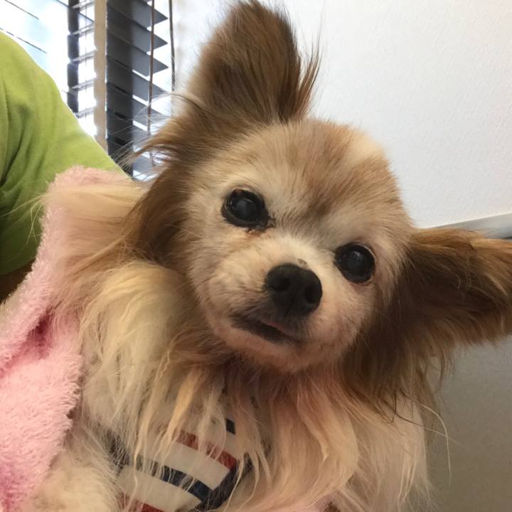 8cc25c29 2945 4683 b1a2 86e2cd81d21c 1535200271467